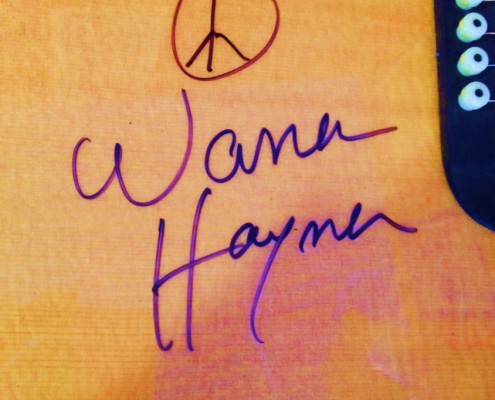 Warren Haynes Exhibit - Autographed Guitar